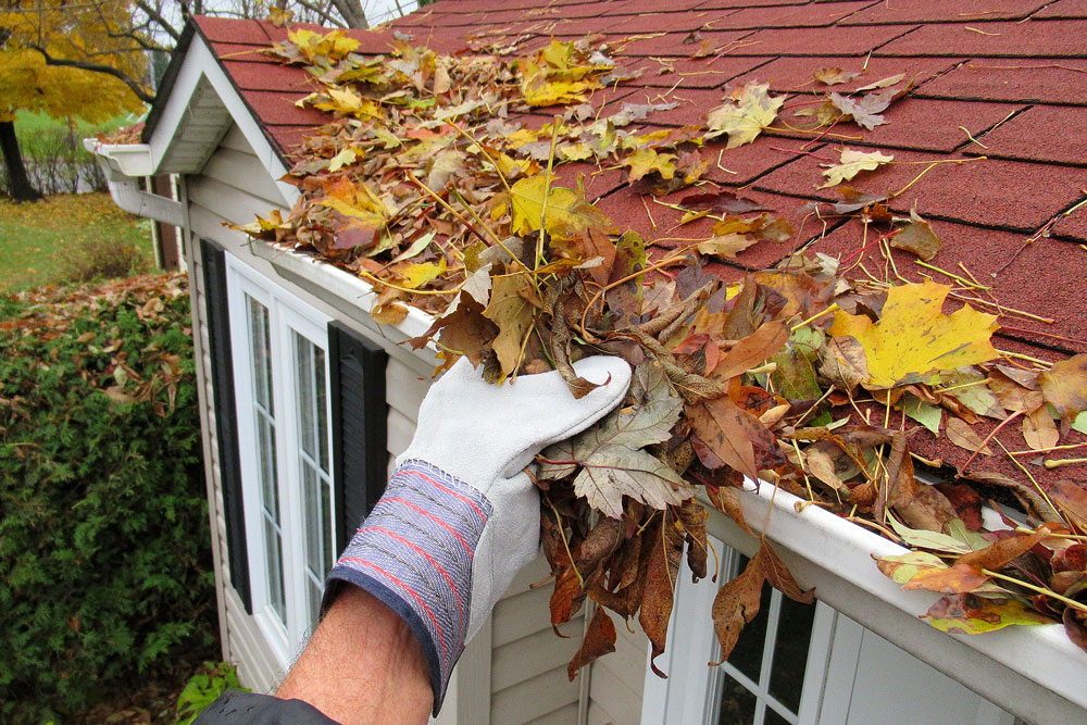 roof-and-gutters-cleaning image