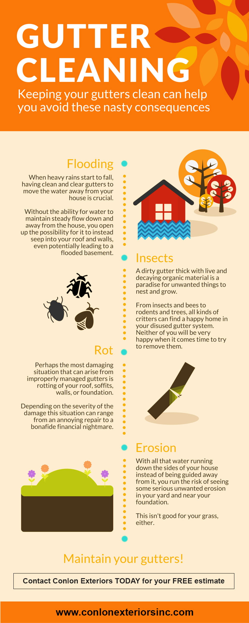 gutter-cleaning image
