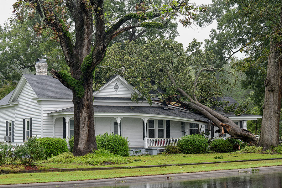 property-management-image